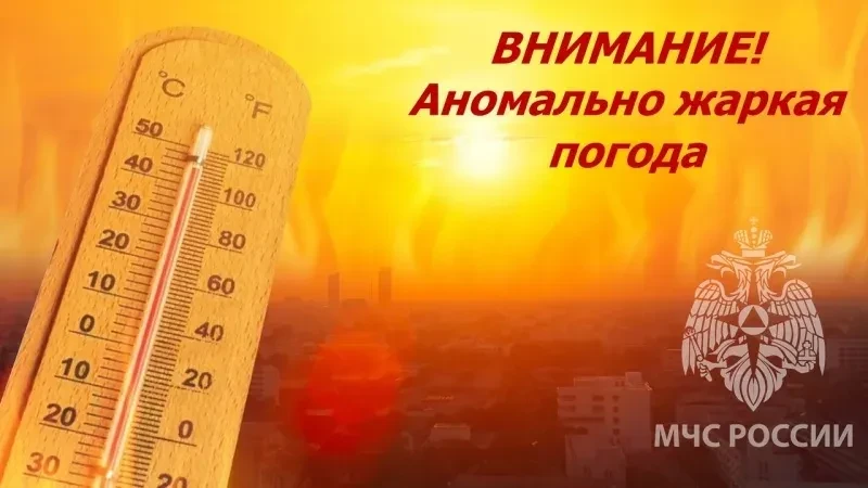 Детализированный прогноз