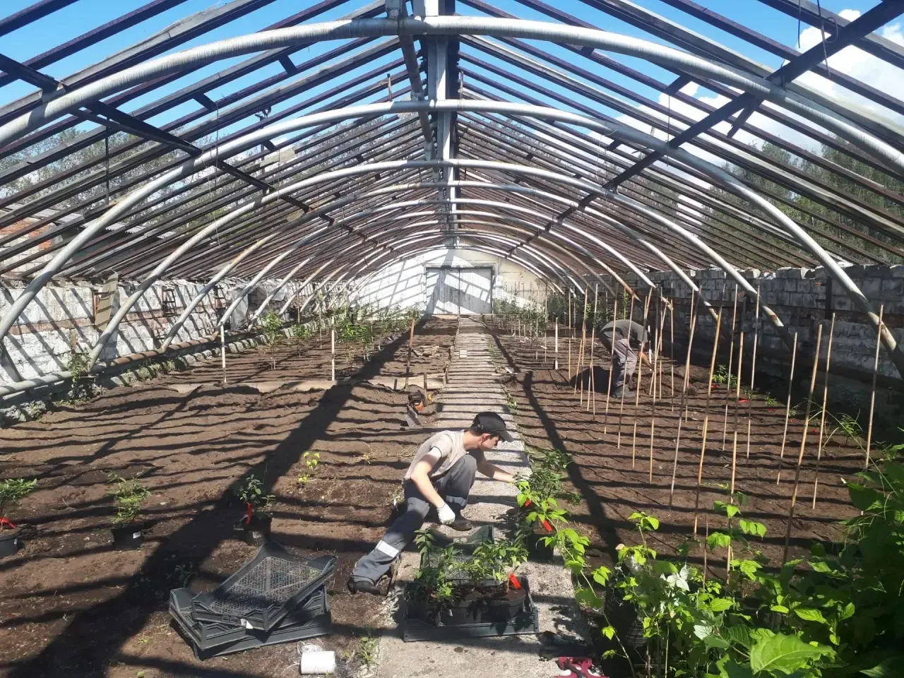 🧤Итоги второй половины недели работы на питомнике имени Рудого К. О. 🌱

Рассказываем, что сделали 