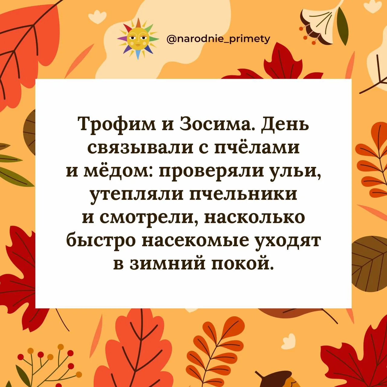 🌞Народные приметы