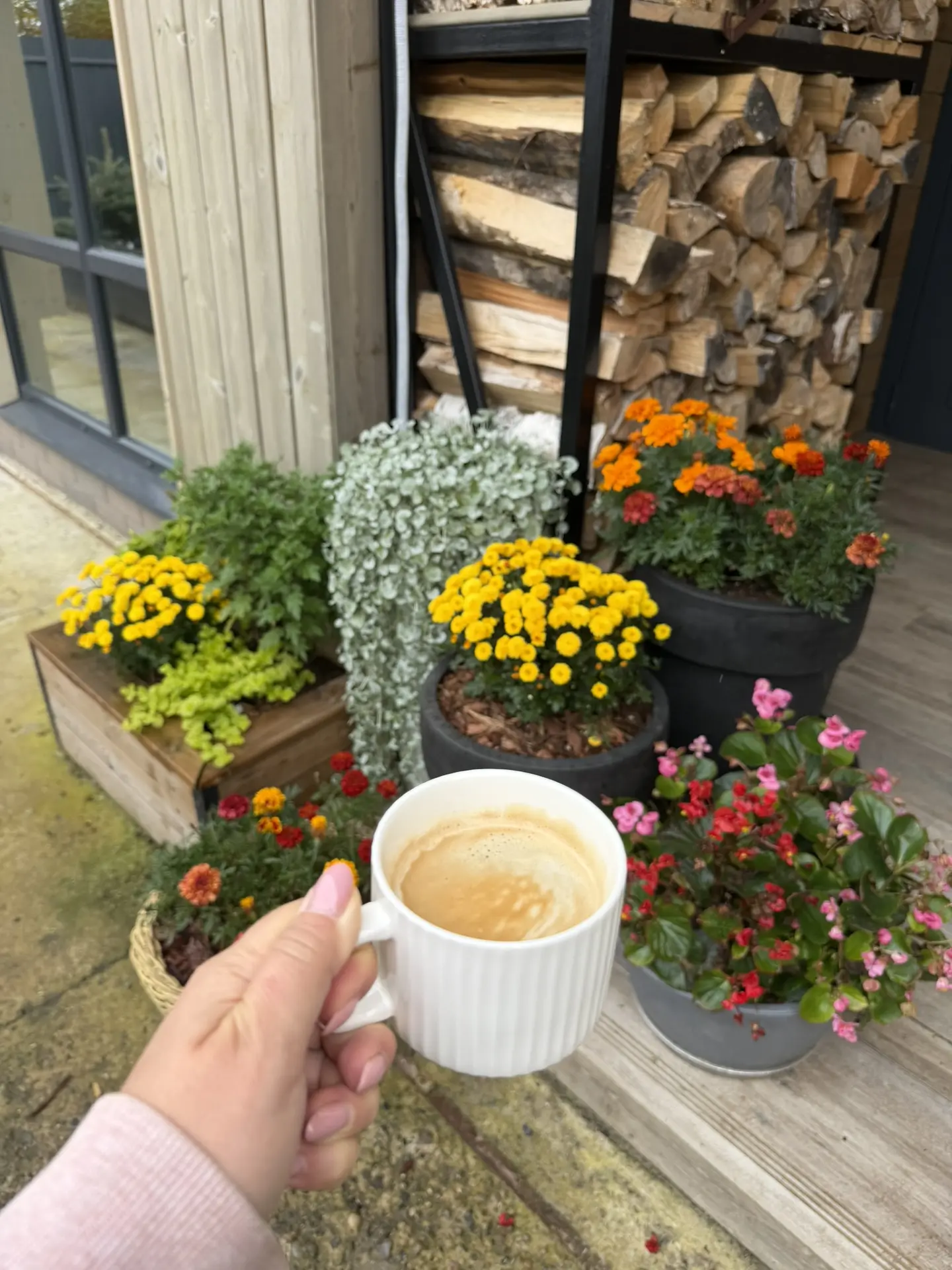 Доброе утро! С началом новой рабочей недели вас 🍂 у нас бабушка моя ночью приехала, си...