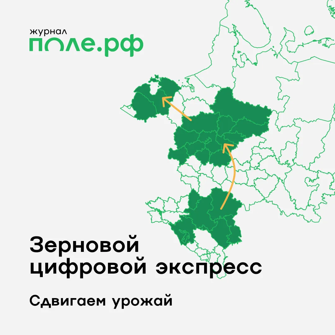⭐️ «Зерновой цифровой экспресс» — инструмент для быстрых и прозрачных сделок на рынке з...