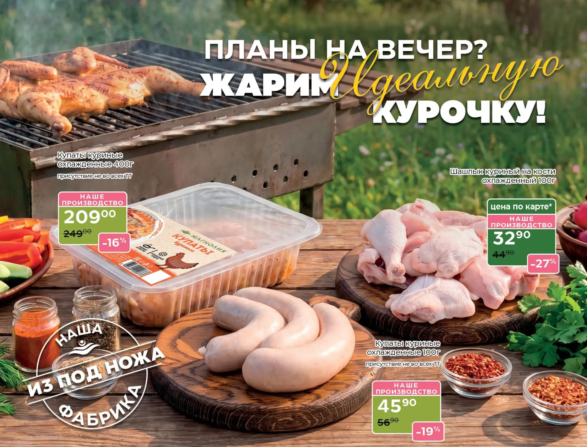 🌿 Мангал. Друзья. Магнолия.