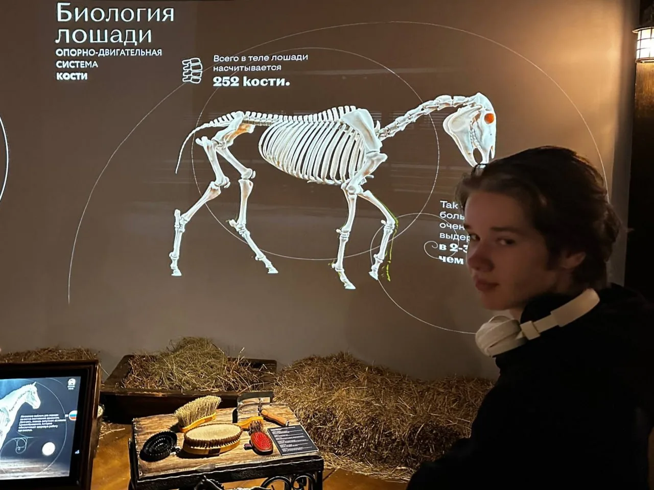 Встреча с грацией и силой 🐎  🏛 На каникулах ученики 10 и 11 профильных естественно-научных классов п