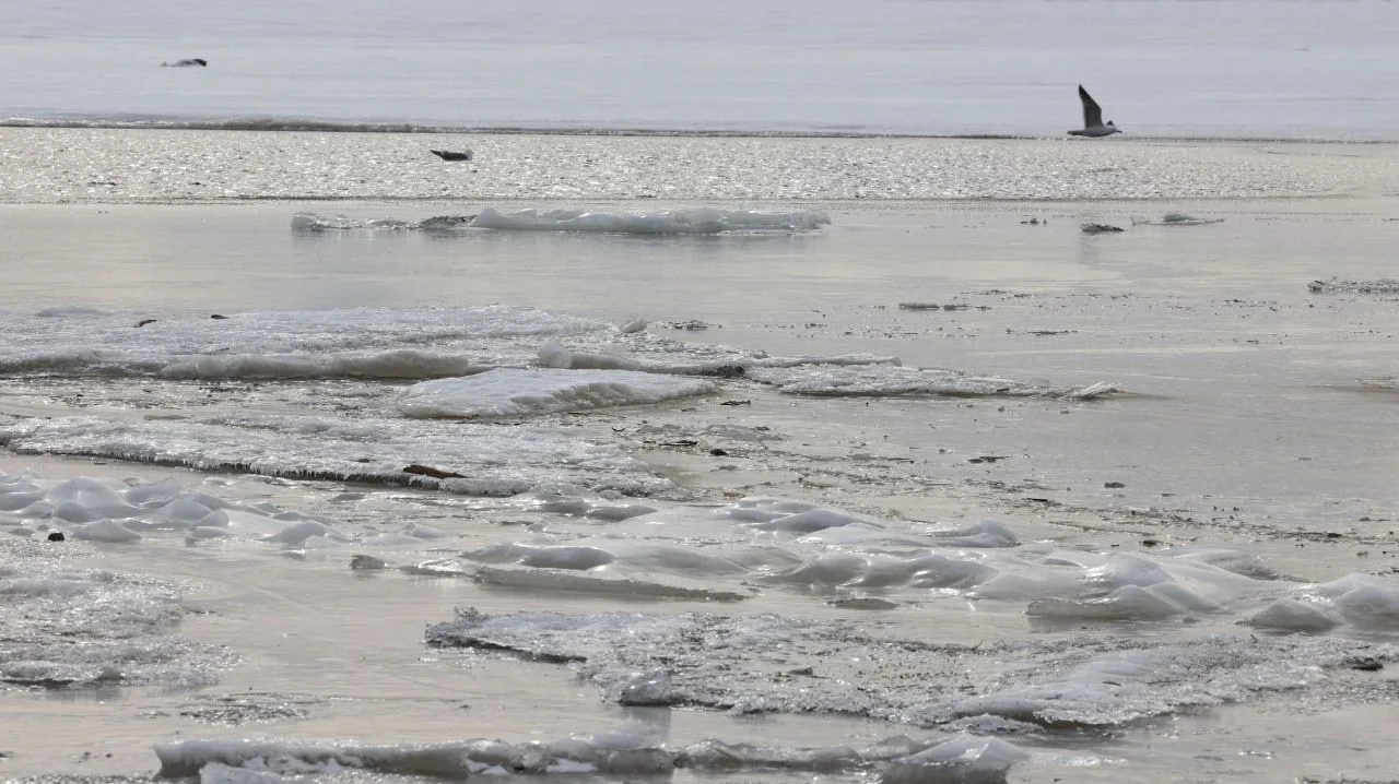 ❄️➡️🌊 Обь оживает: в Салехарде заметили первые трещины на льду.  Река постепенно освобождается ото л