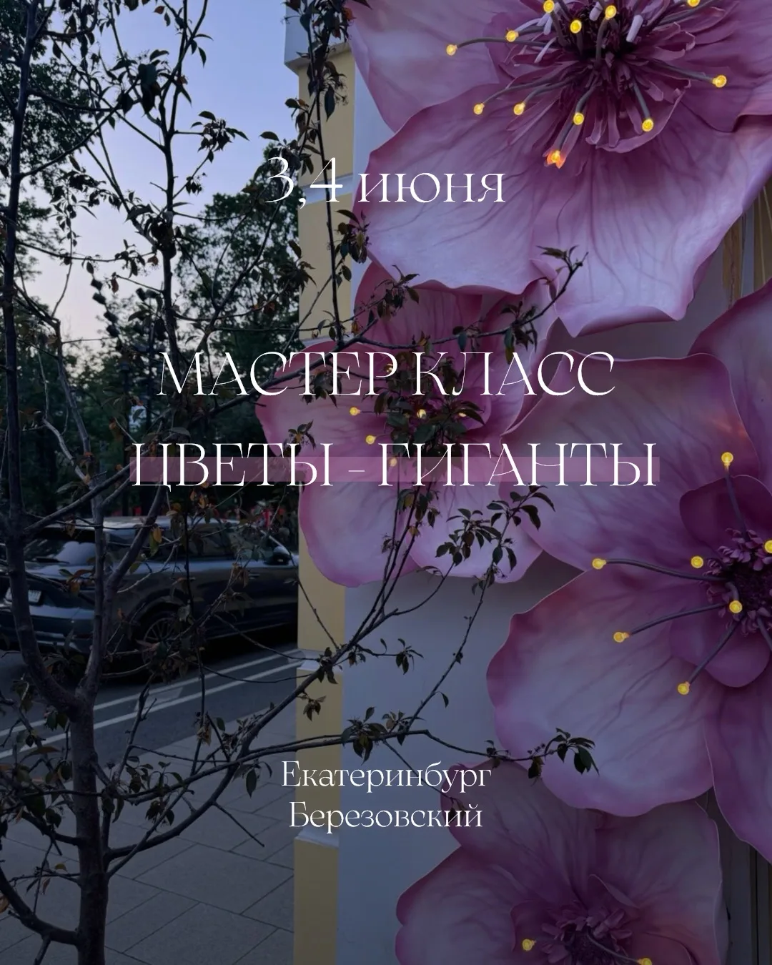 🔥 МК Цветы-Гиганты