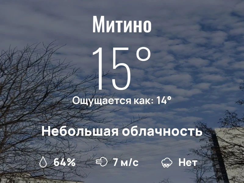 Что с погодой в Митино?