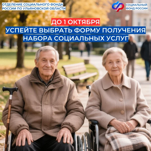 ✅Набор социальных услуг предоставляется федеральным льготникам в натуральном виде, дене...