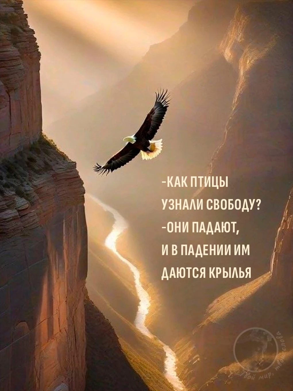 Твой мир, твои слова