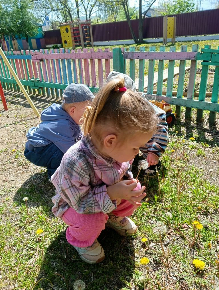 Дети младшей группы, гуляя на прогулке 🌿, рассматривали одуванчики ☀️🌼. Они узнали, к...