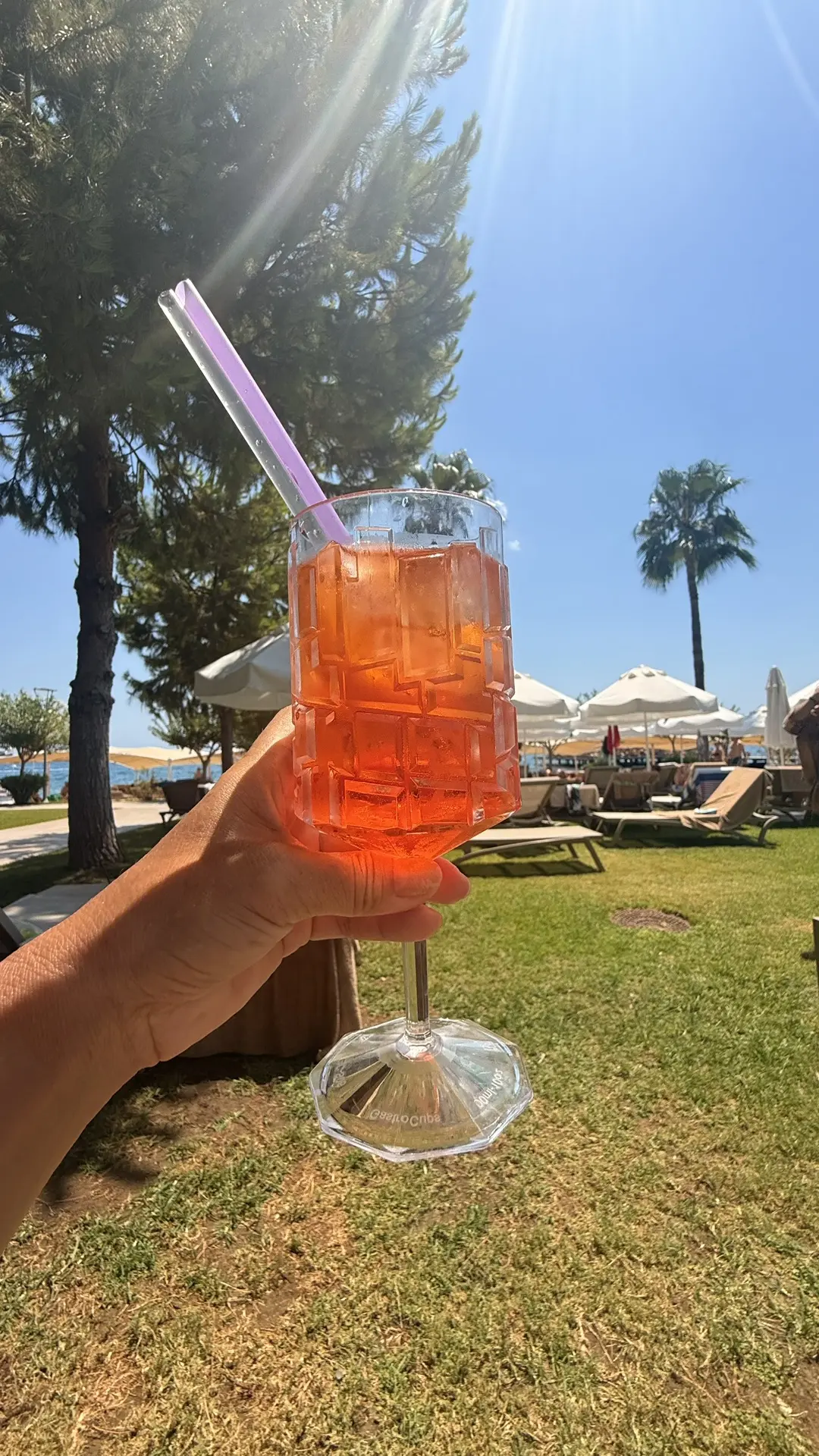 🍊 Что такое Aperol Spritz?
