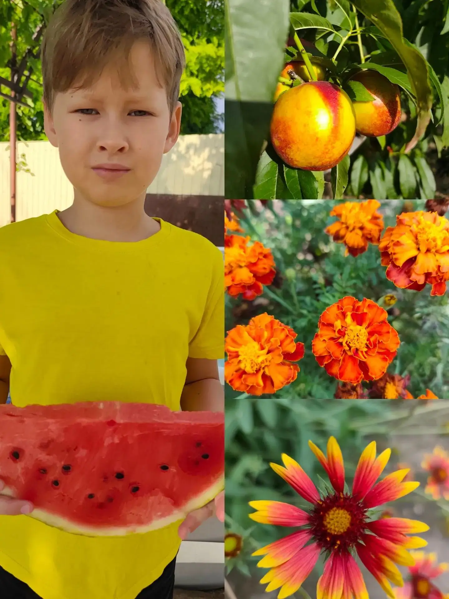🍉 Лето продолжается, и наш фоточеллендж набирает обороты!