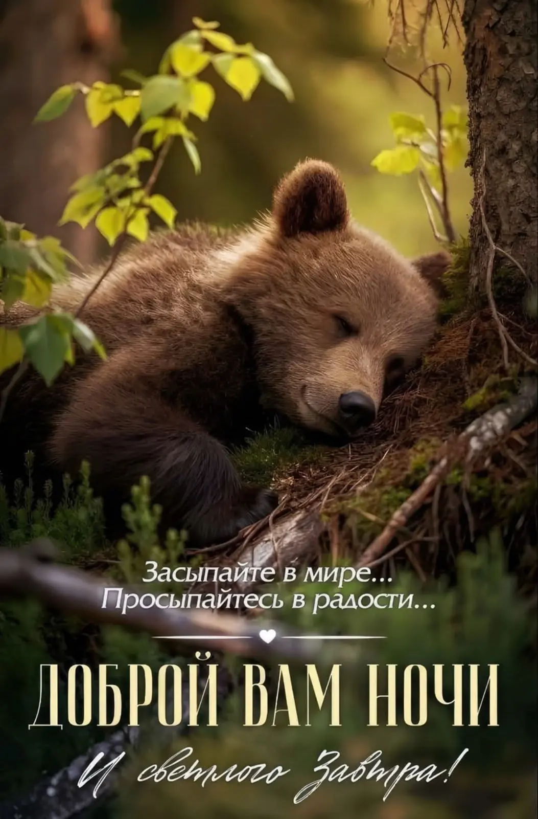 #спокойнойночи