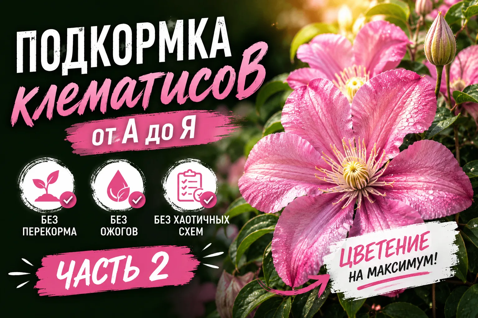 Делай подкормки с пониманием! Без перекорма, ожогов и хаотичных схем.