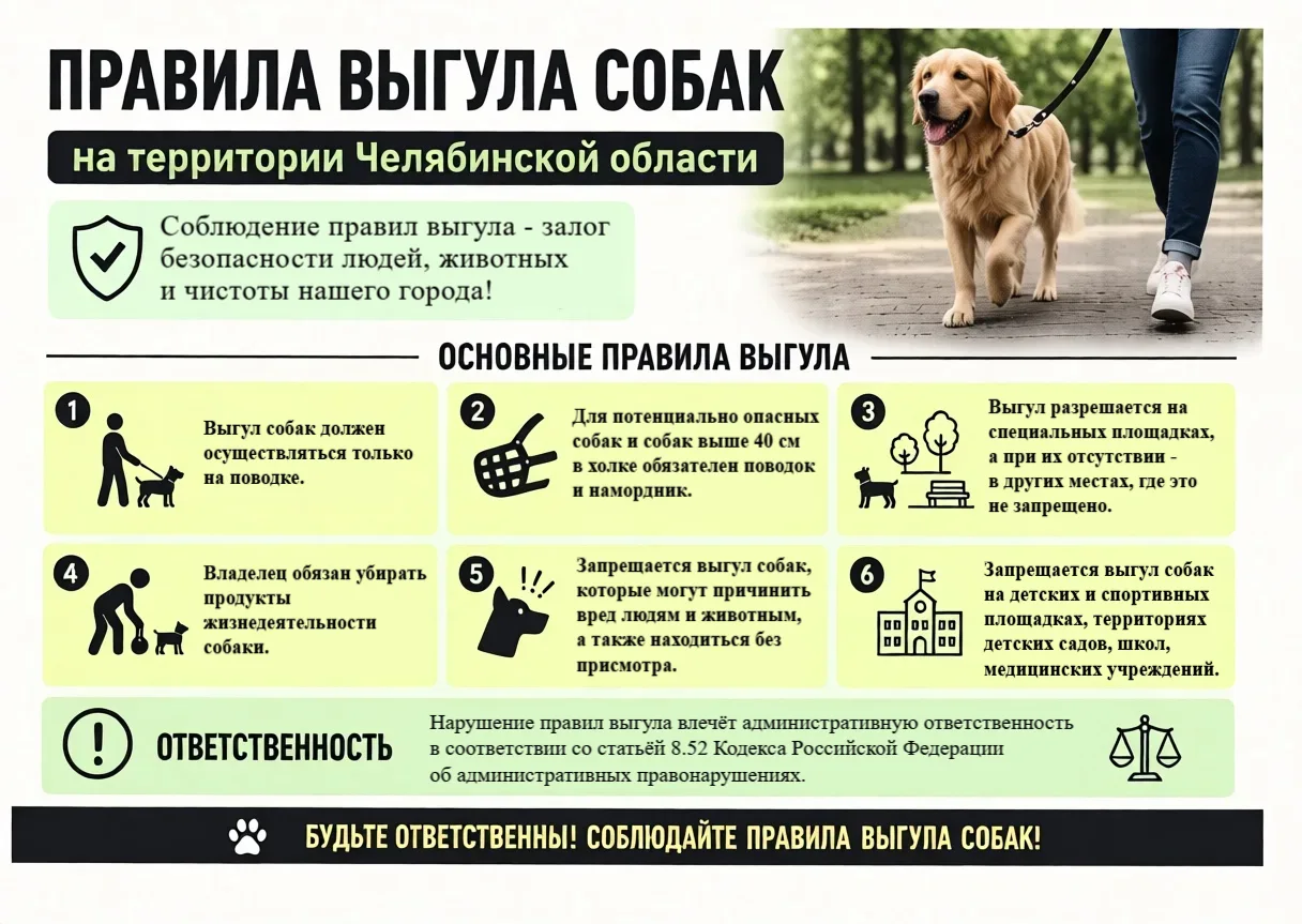 Внимание, владельцы собак! 🐾