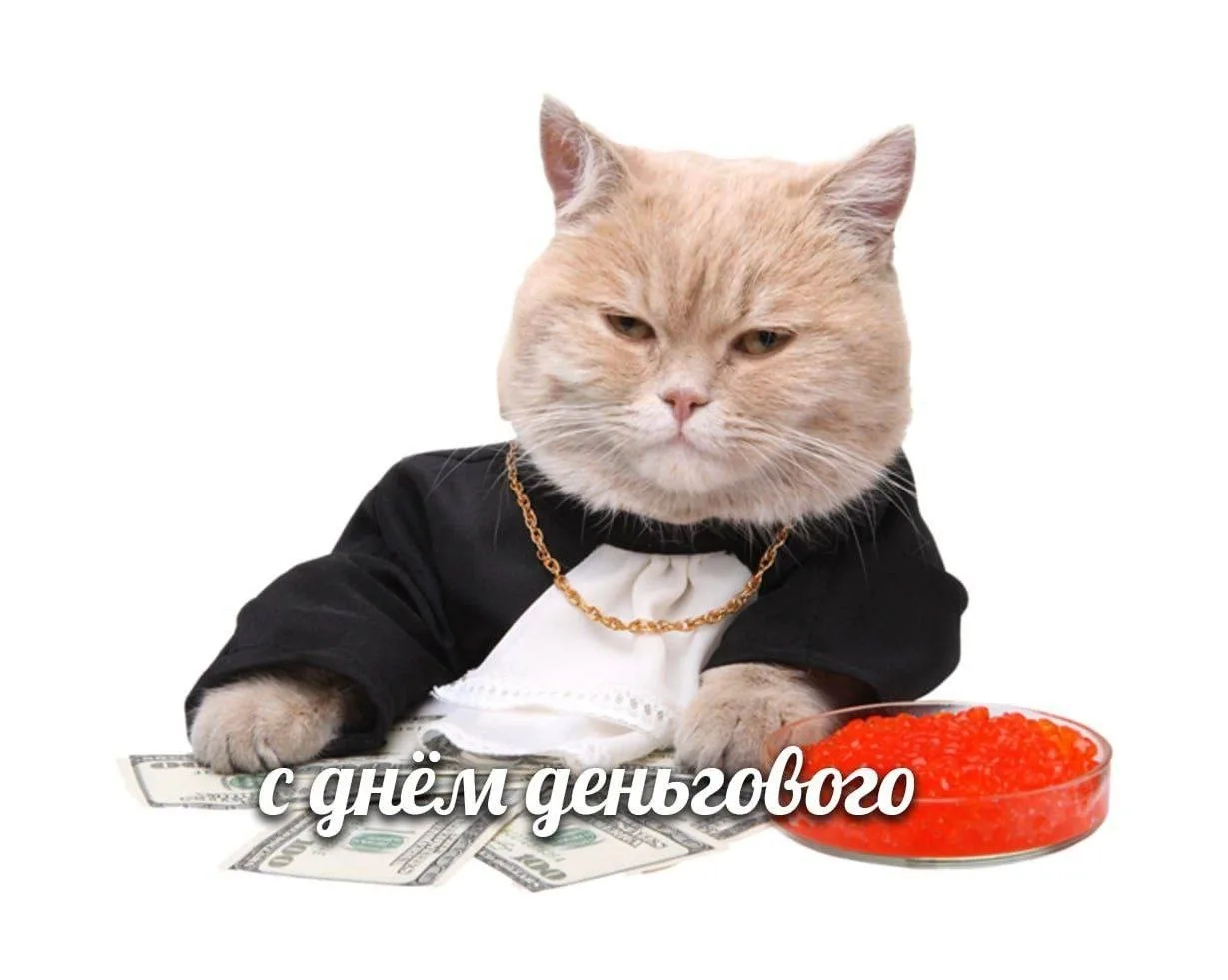 Международный день денег отмечается сегодня. 

Отправляйте этого денежного кота всем, кому желаете п