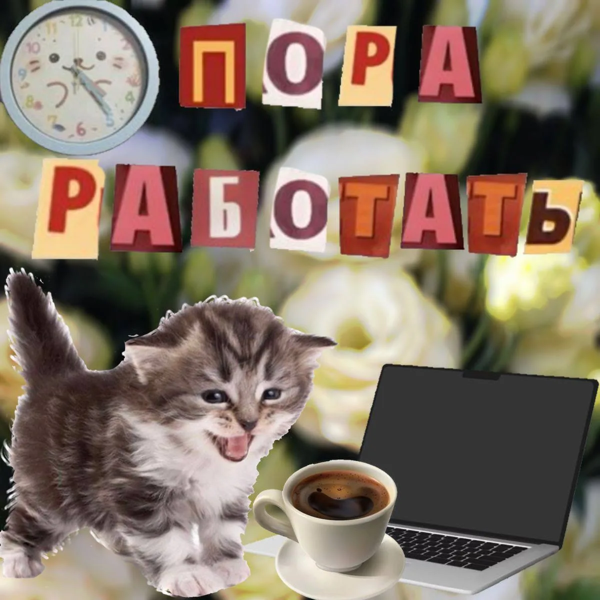 🔥БОЛЬШАЯ РАСПАКОВКА ВАКАНСИЙ от наших партнеров Сбер IT Сочи🔥

Саааамые самые самые горячие ваканс