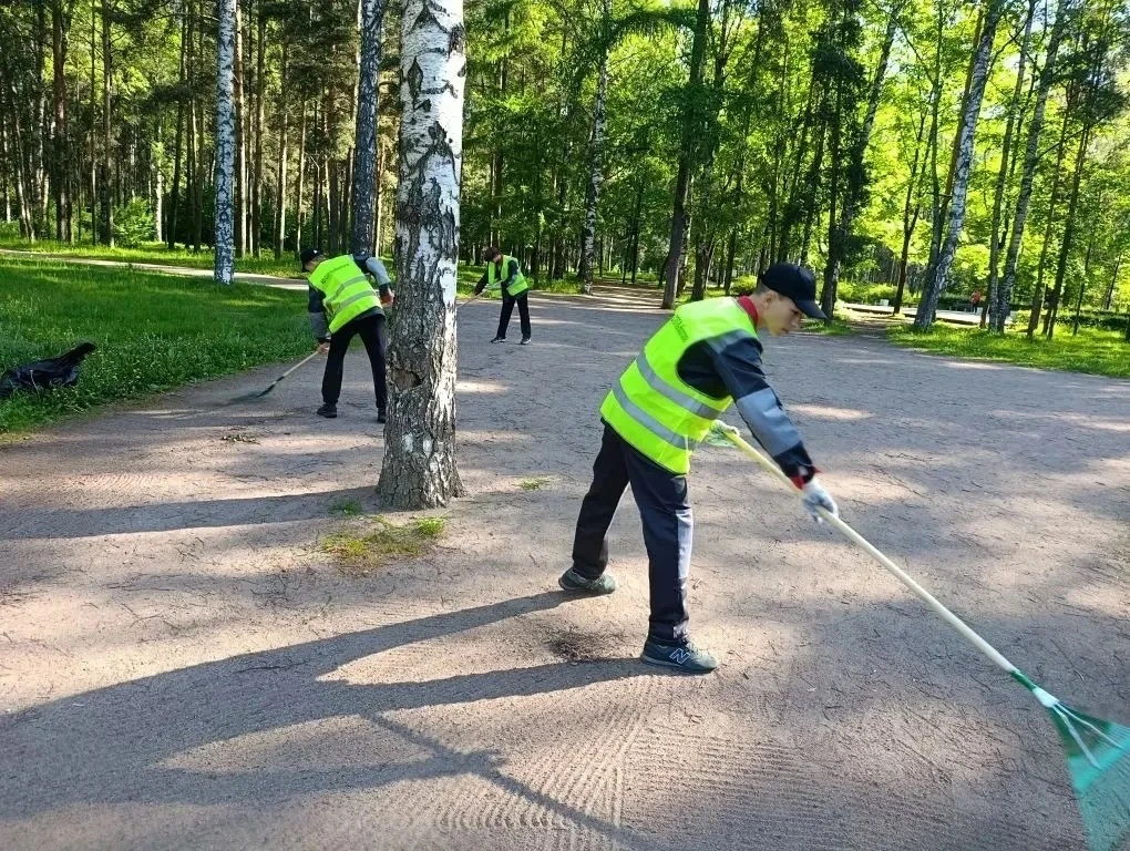 Первая трудовая неделя юных помощников позади! 🪏

Пять дней пролетели как один миг.

Прометание дор