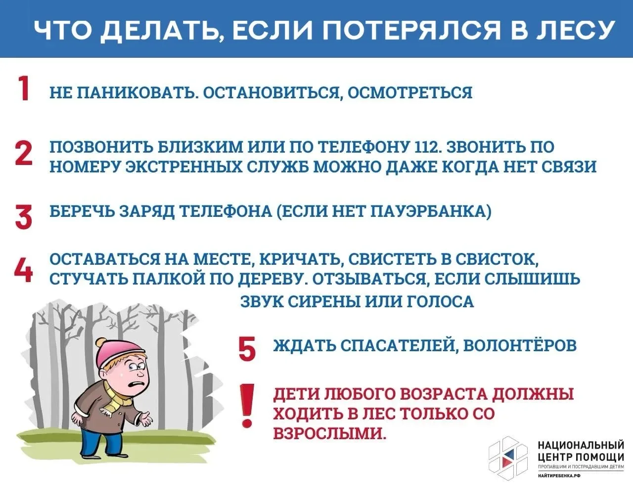 ❗️Если потерялся в лесу: что важно помнить

Даже знакомый лес может быстро стать дезориентирующим — 