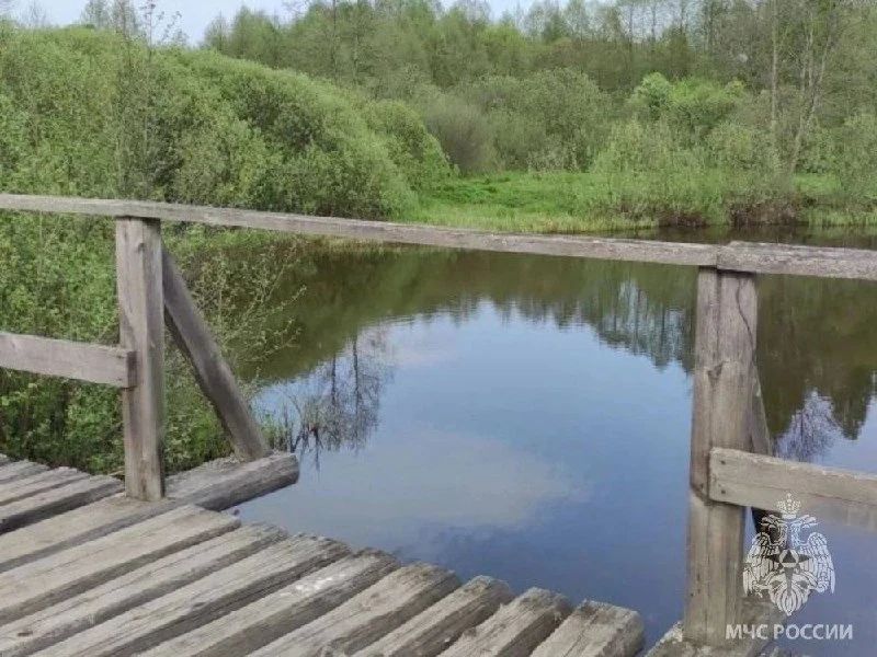 ⏺Стали известны предварительные обстоятельства гибели мужчины в Лухском районе Ивановской области.  