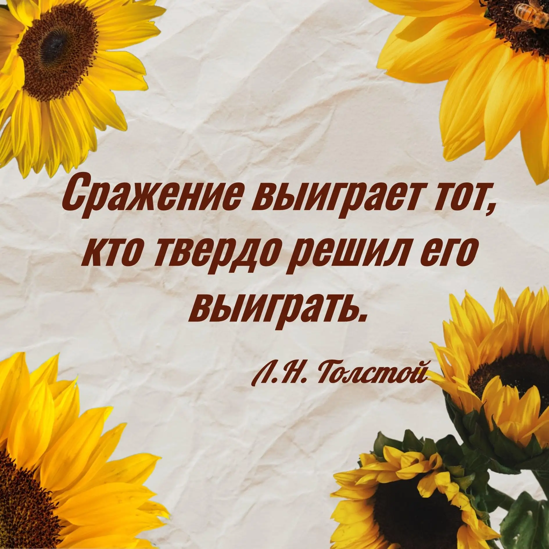 Всем удачной рабочей недели!