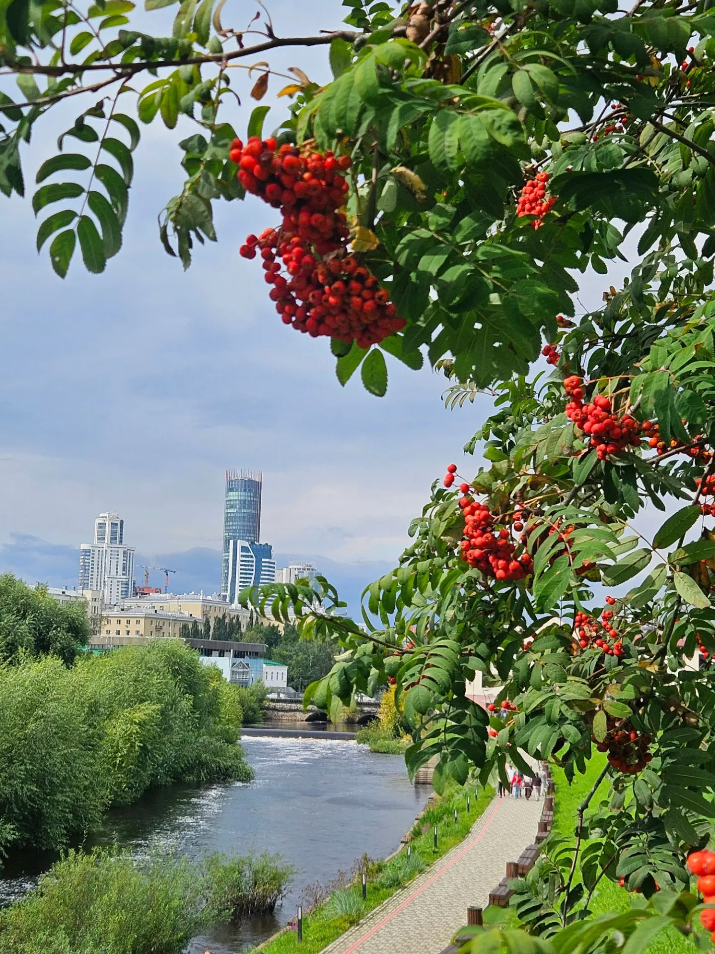 🤗Добрый вечер, дорогие подписчики. Лето продолжает дарить  нам свои яркие и тёплые ден...