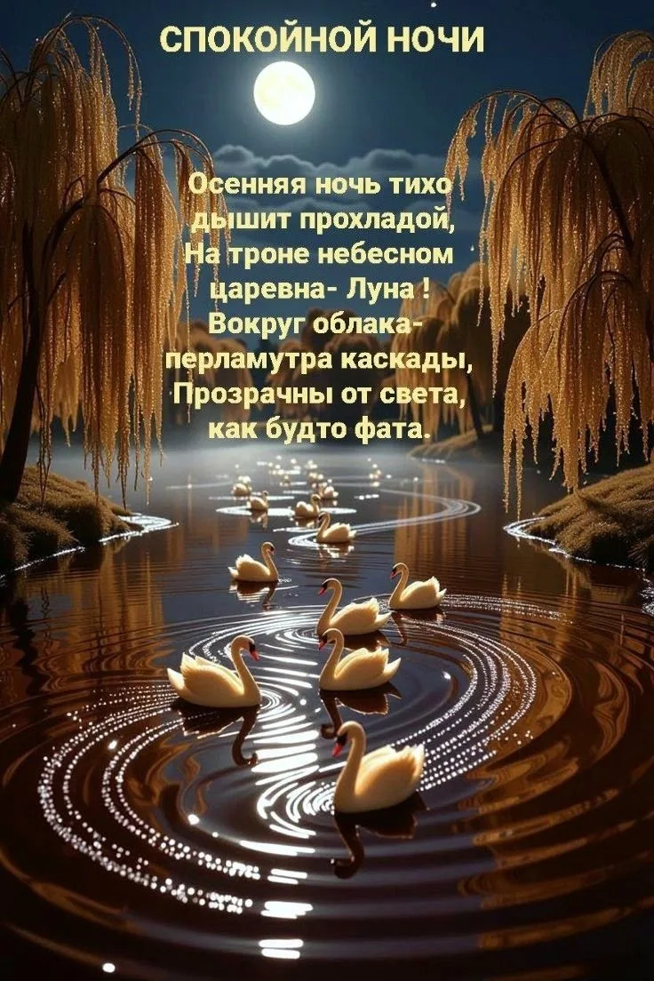 Доброй ночи! Чудесных сновидений! До завтра! ✨🌙