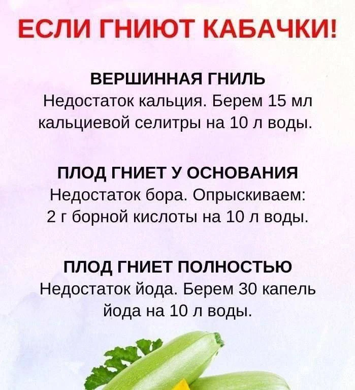 🥒 Если гниют кабачки

Берите на заметку!

Дачные идеи