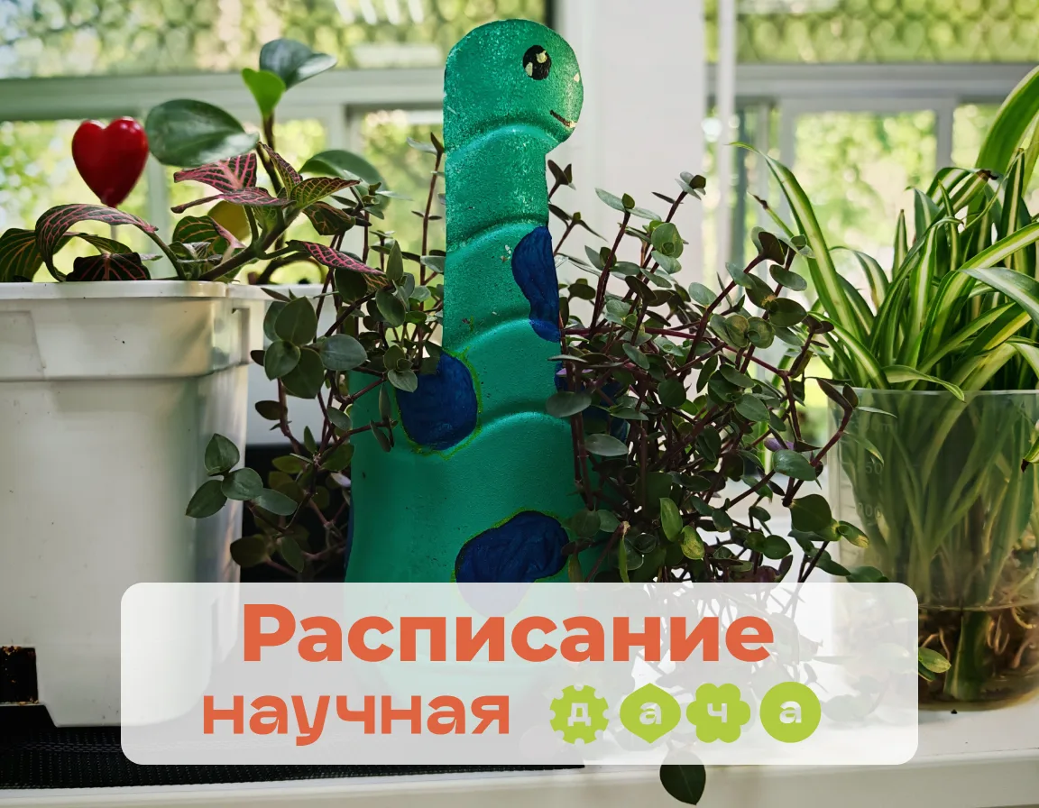 🟢Расписание🟢

17 июня 

18:30 — презентация летних программ🌞

📍Расскажем все подробности про лет