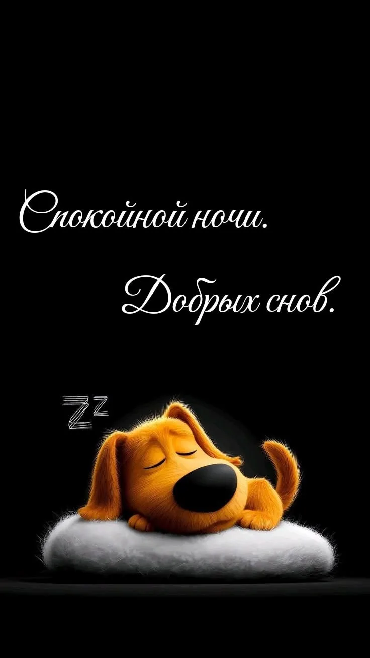 Спокойной ночи 🌙
