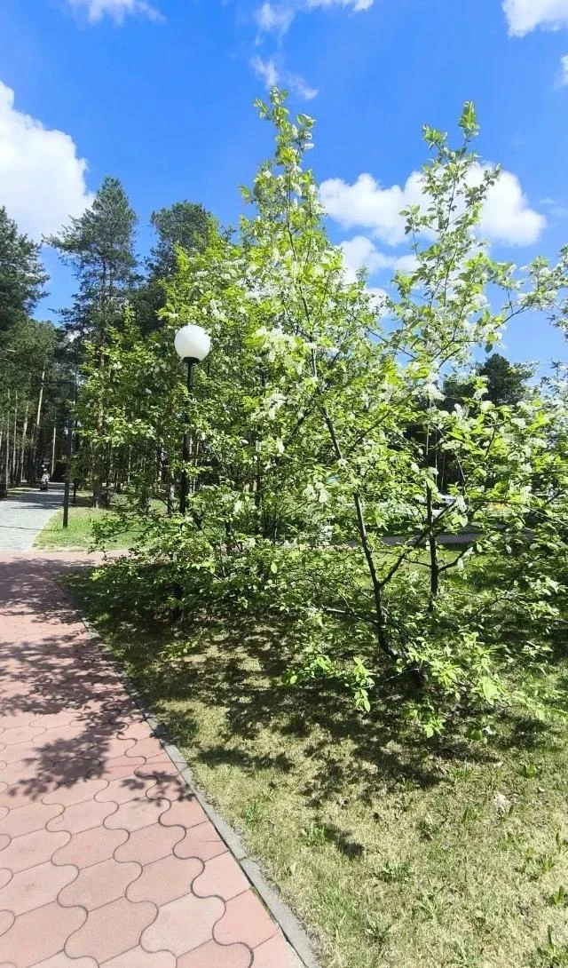 📸 Экологический фотокросс «Природа в фокусе»🌿

Продолжаем фотоотчёт юннатов нашей школы ‼ Мисирхан