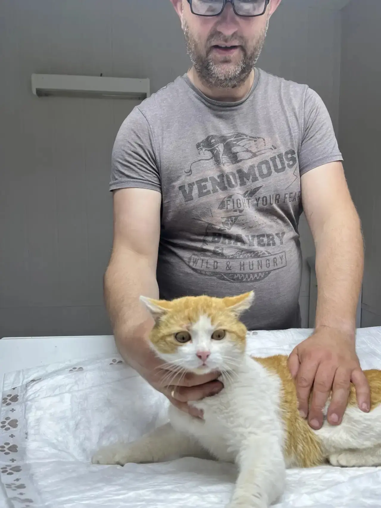 🐱 Приём у ветеринара Звягиной Н. И. — забота о здоровье вашего питомца в надёжных рука...