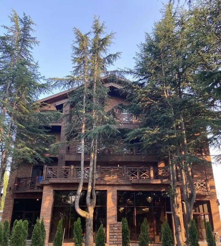 🌴 Абхазия! Бархатный сезон по отличной цене!