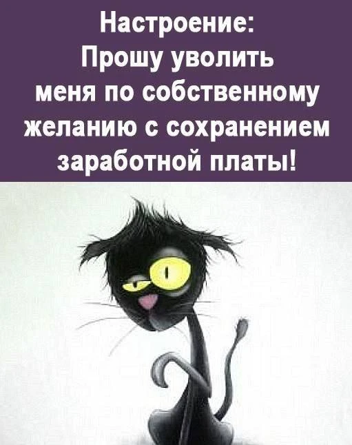 🌸 Женский Клуб — Подписаться