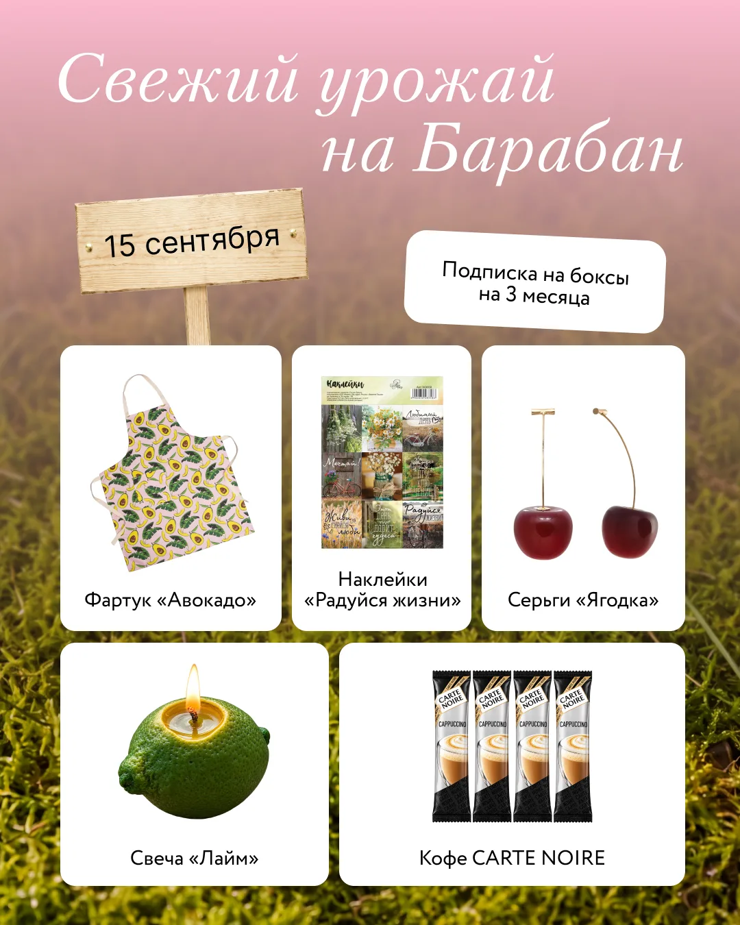 Что сегодня на грядке — 15 сентября? 🧑‍🌾