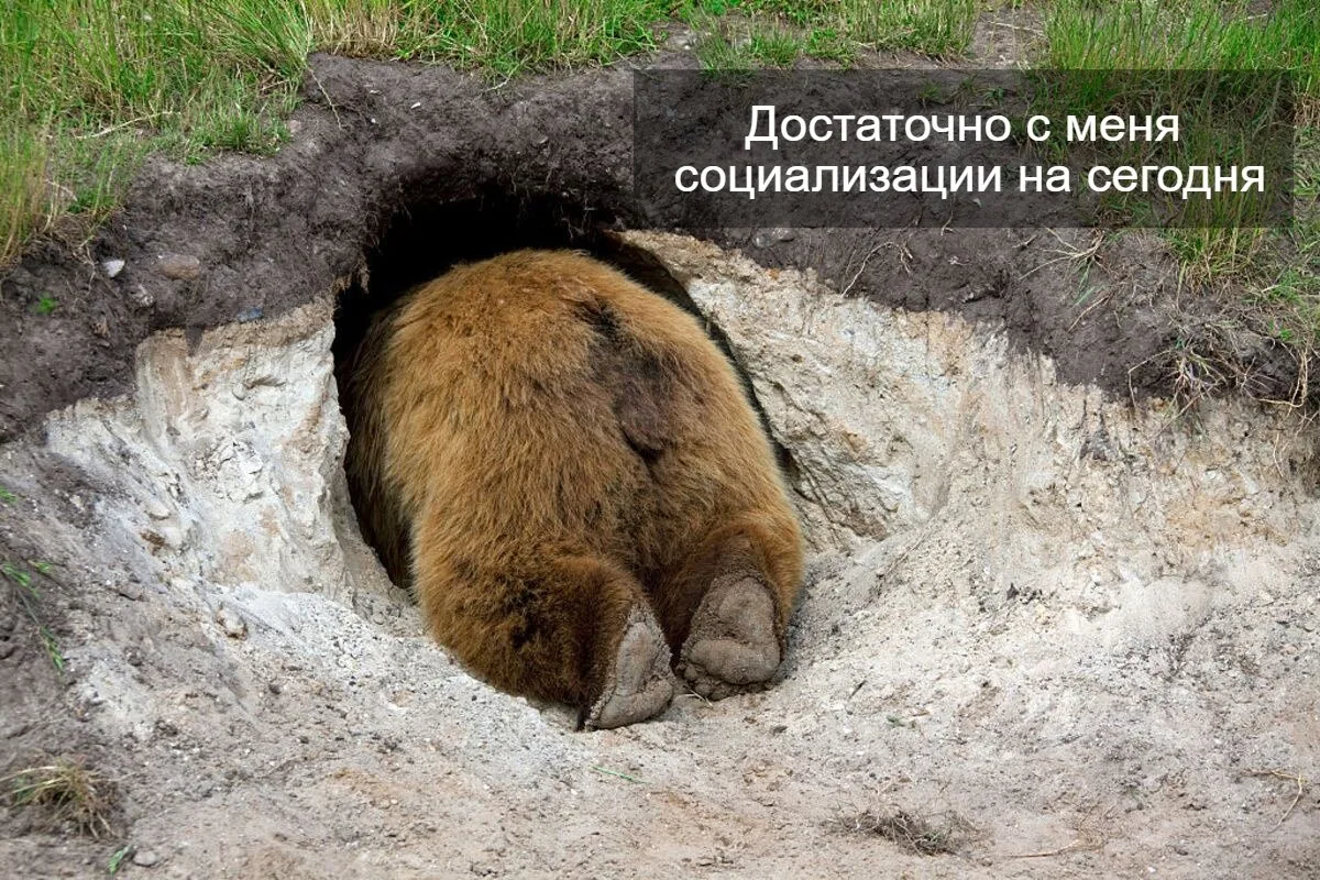 🫠 Мы или не мы?

❤️ - мы!

Медведи ❤️ Подпишитесь 👇