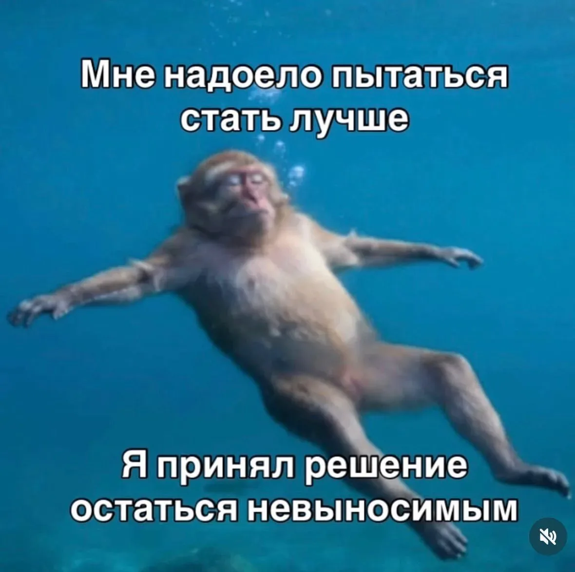Как же бесит это пресловутое «женщине надо быть легкой и воздушной как йогурт, чтобы ст...