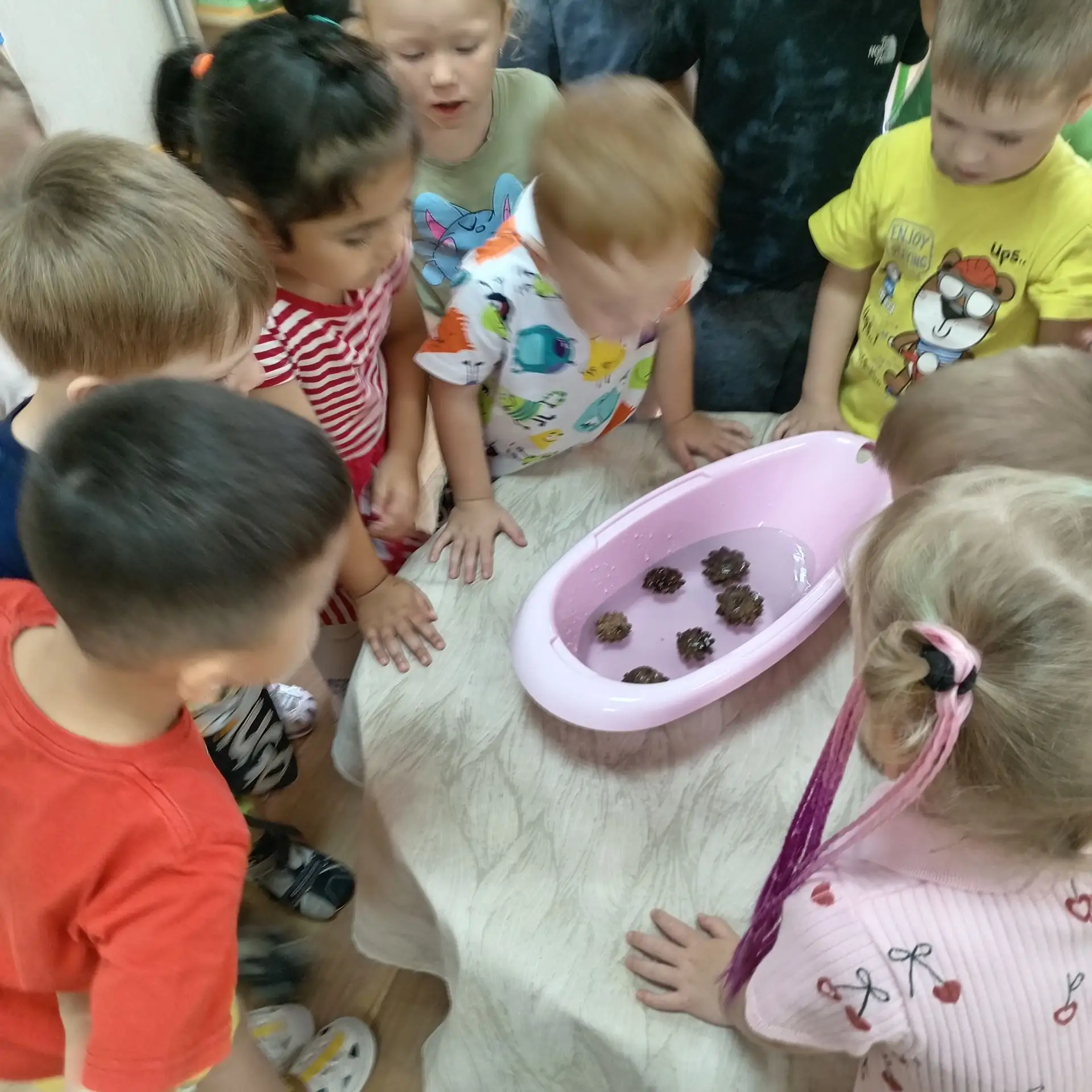 В средней группе прошло занятие " Тонет - не тонет". С помощью простых предметов дети наглядно увиде