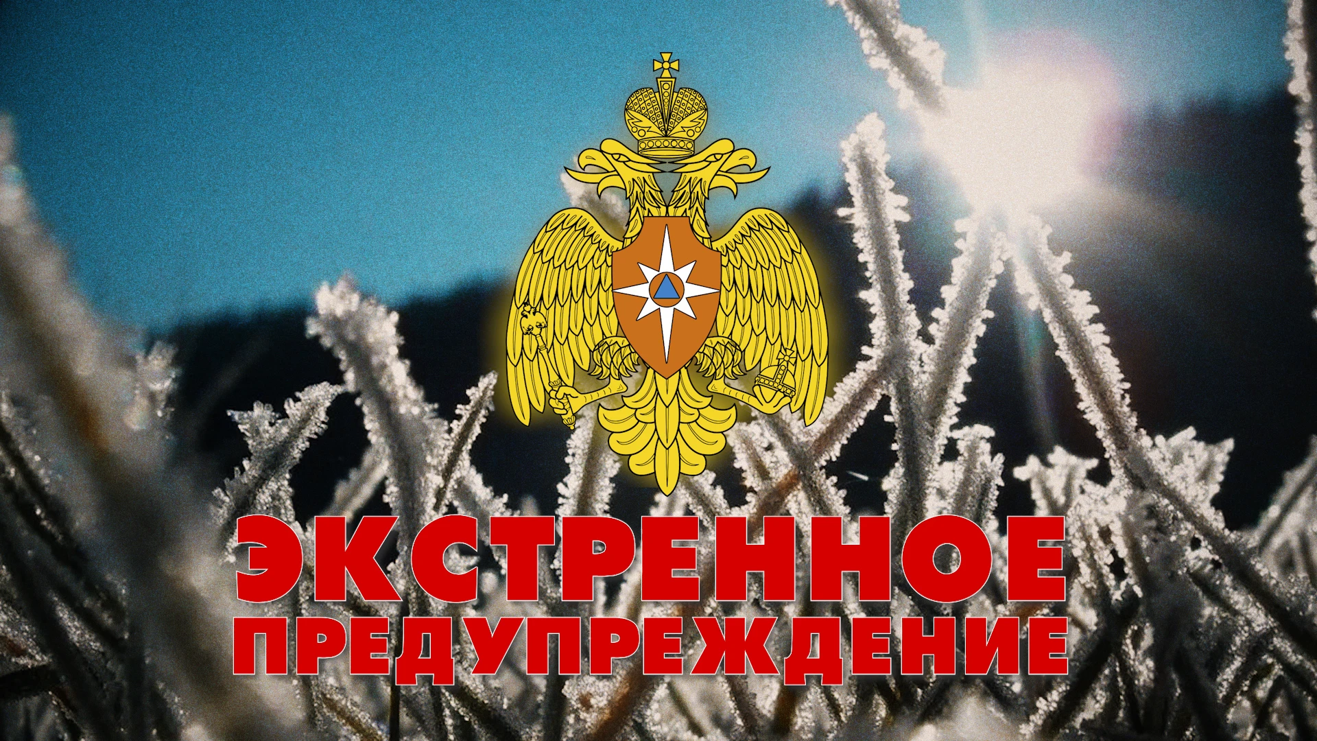 ЭКСТРЕННОЕ ПРЕДУПРЕЖДЕНИЕ