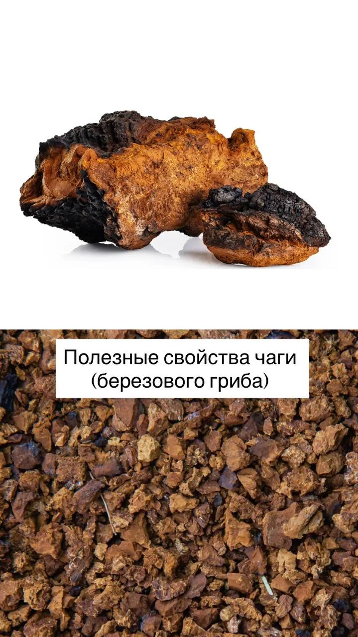 Напиток от запоров и тяги к сладкому. Он же защищает кожу от ультрафиолета.

Речь про чагу, она же б