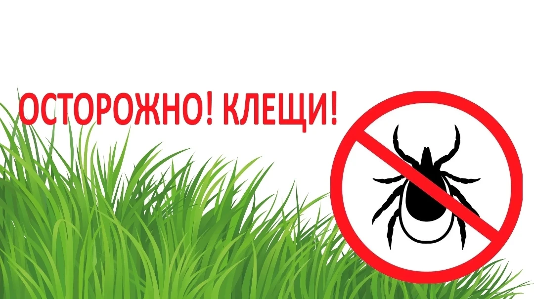 🌿 Весна — время прогулок на природе,