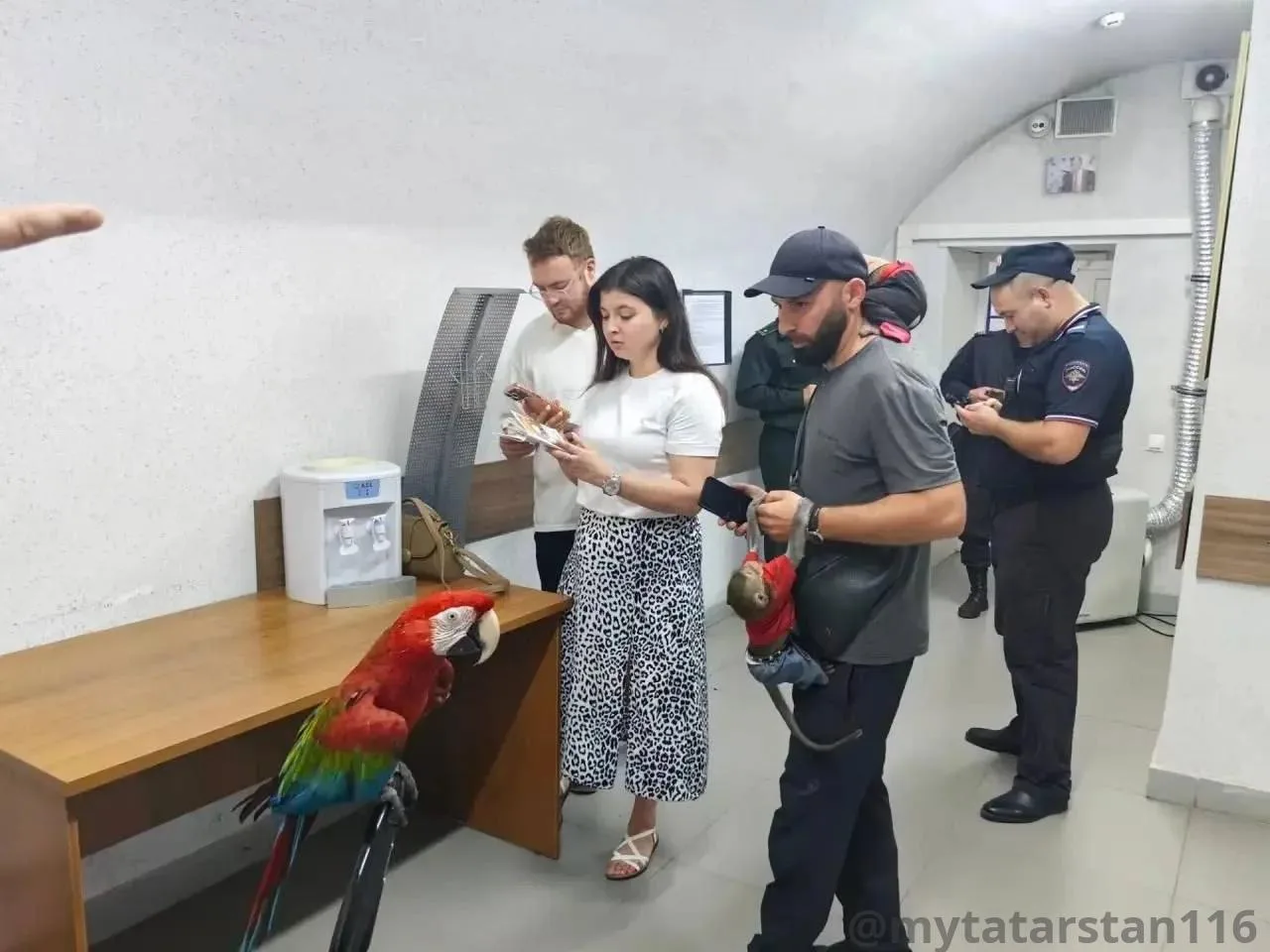 ❗️На Баумана впервые забрали экзотических животных, которых использовали для фото

Полицейские изъял