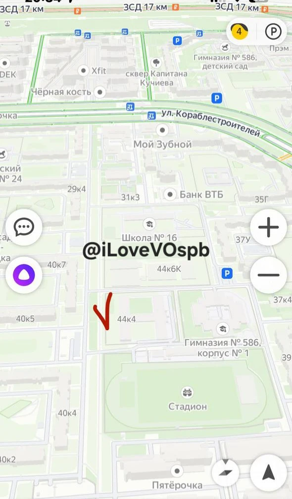 "Котик сегодня здесь был найден в коробке, котик контактный, не кусается, похож на домашнего, возмож