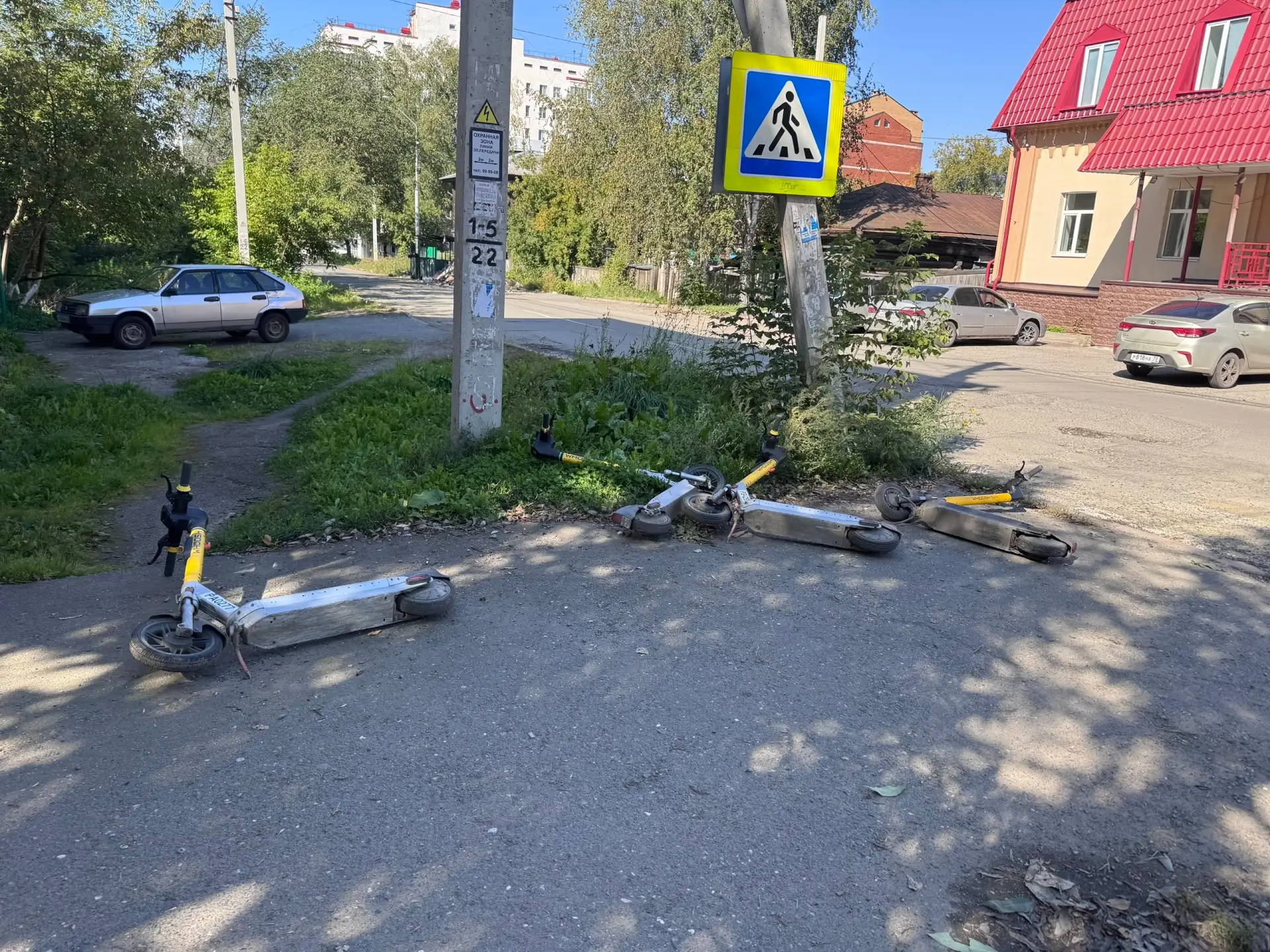 🗣️от Подписчика: Вы можете наблюдать редкий вид) самокаты в своей естественной среде о...