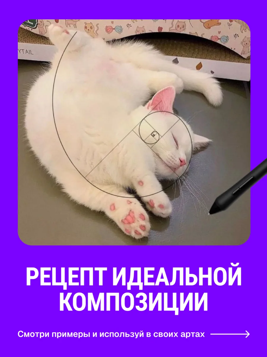 Видели эту загогулину? Это золотая спираль 🤓