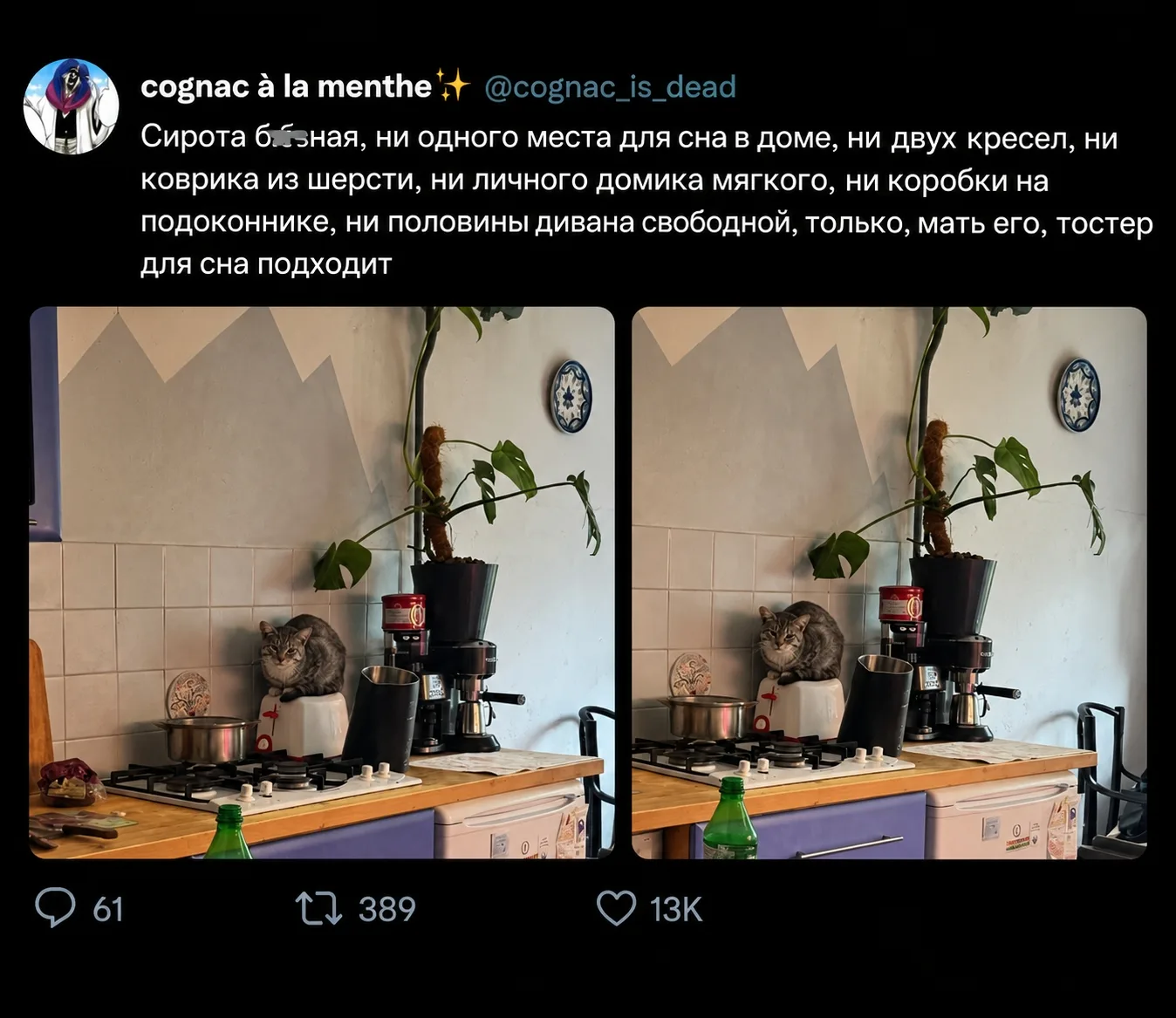 https://max.ru/motherinlawsocks