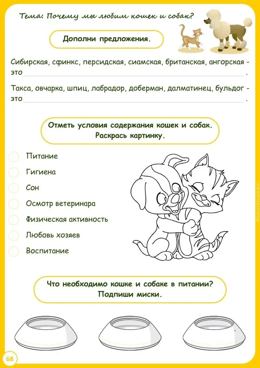 ВСЕ ЭТО за 100 рублей!  Шутка что ли? А вот и нет!  Дорогие мои, предлагаю вам всего за 100 рублей п