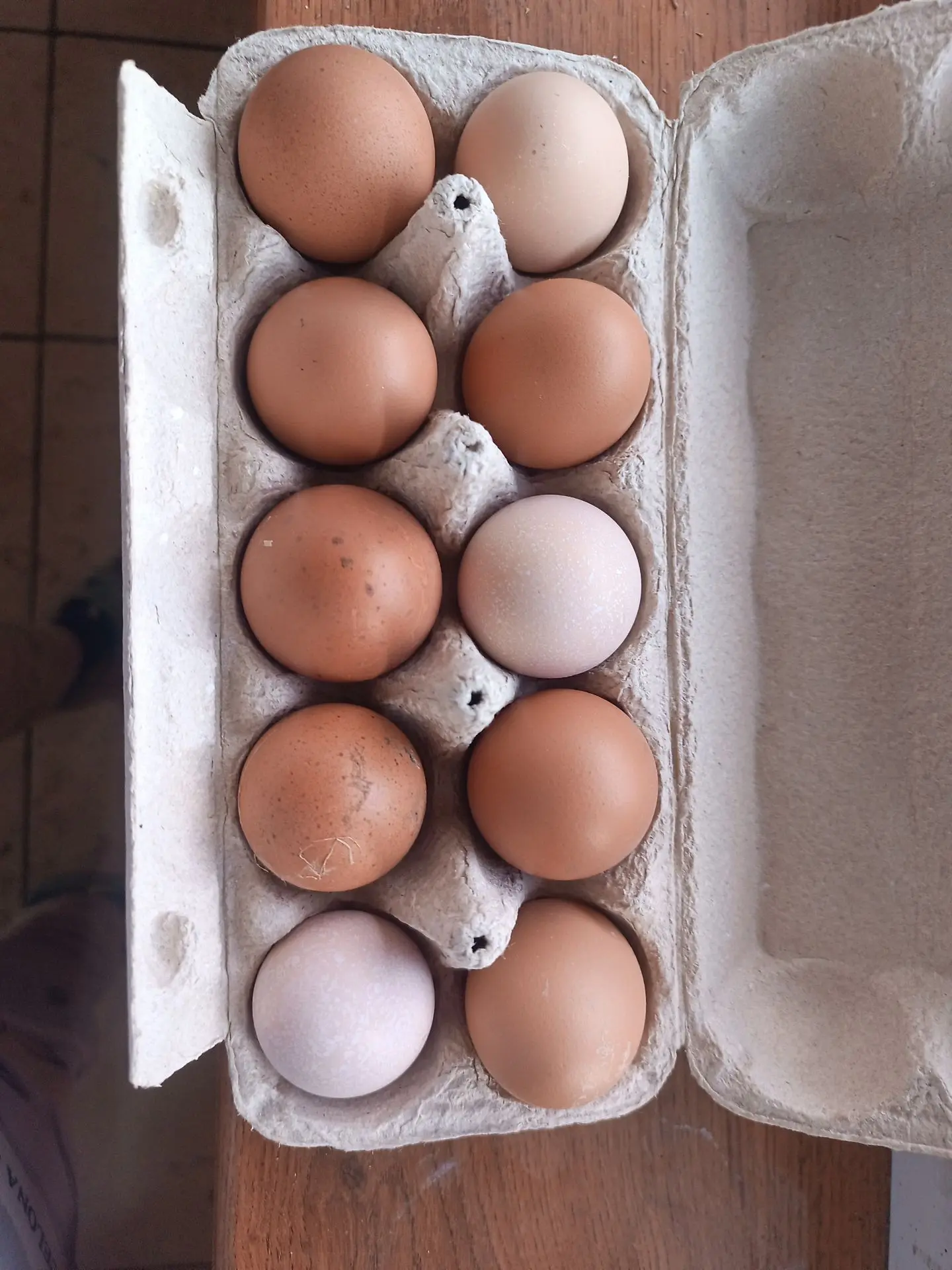 Продам яйца