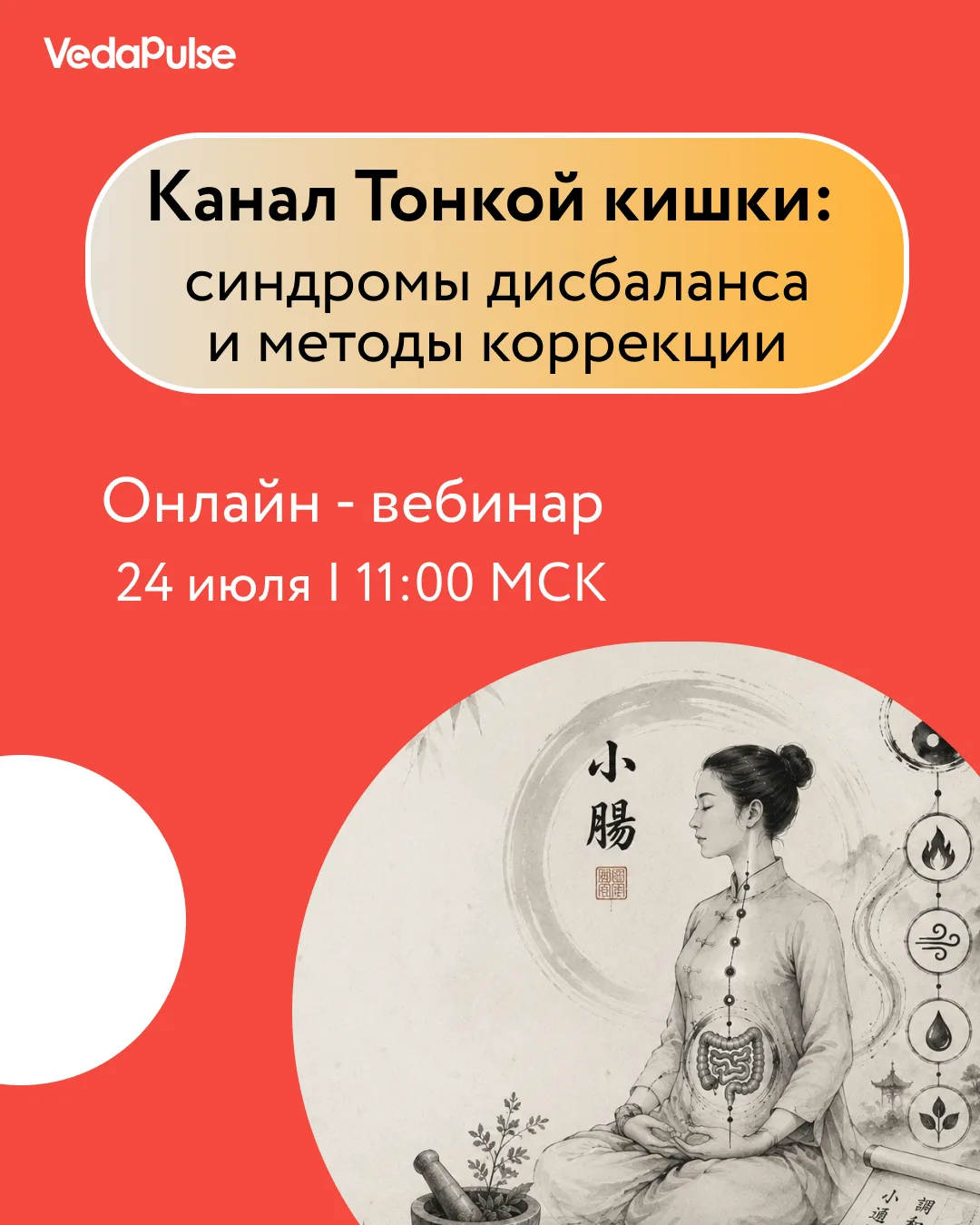 ⭐️ Энергия, пищеварение и эмоции: что важно знать о канале Тонкой кишки

24 июля в 11:00 (МСК) пригл