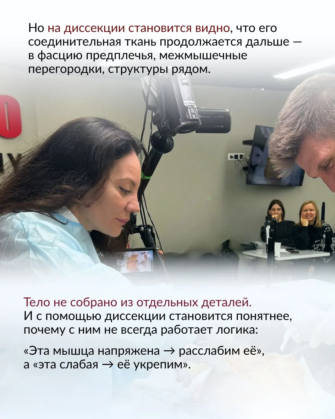 Диссекция: зачем тренеру живой 3D-образ тела?