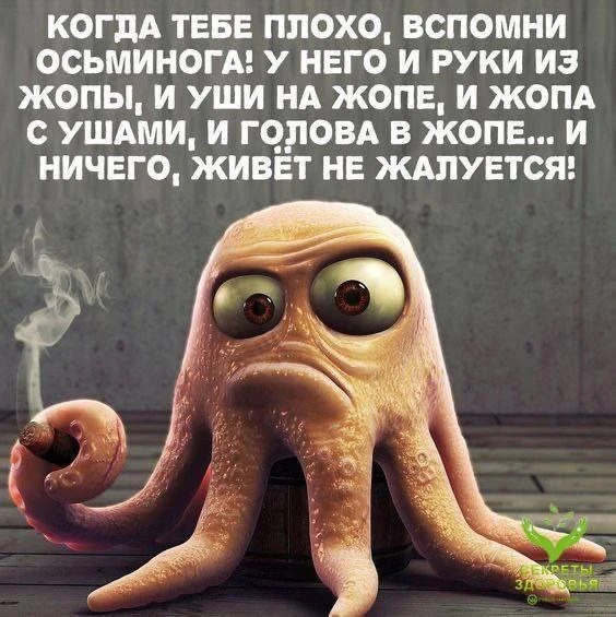 Женский юмор